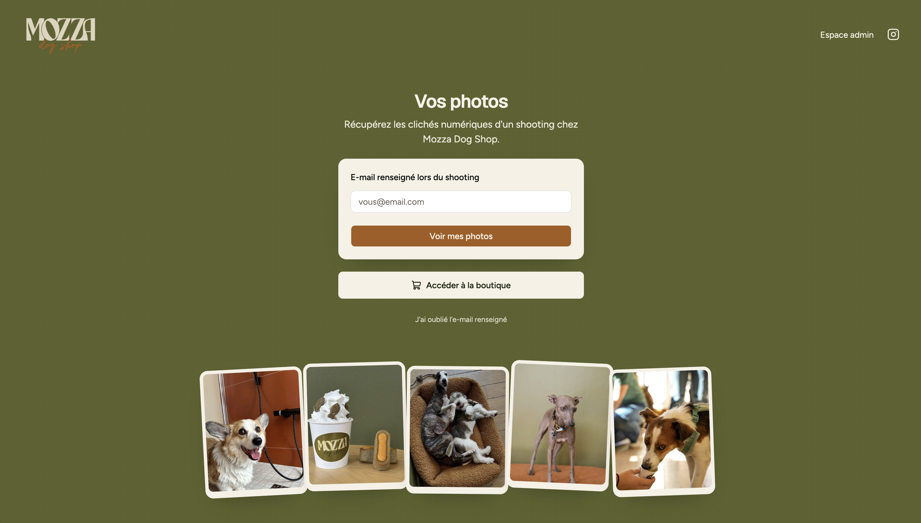 Mozza photo page. The client enters the email from the shooting to open their photos.